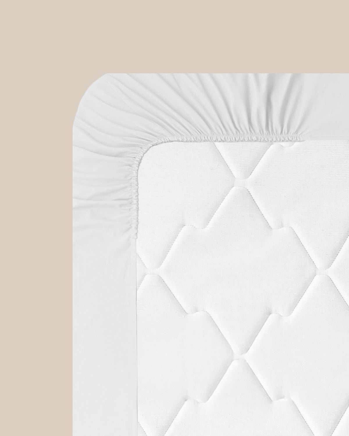 Flat 2 Cotton Fitted Sheet White (view 18)
