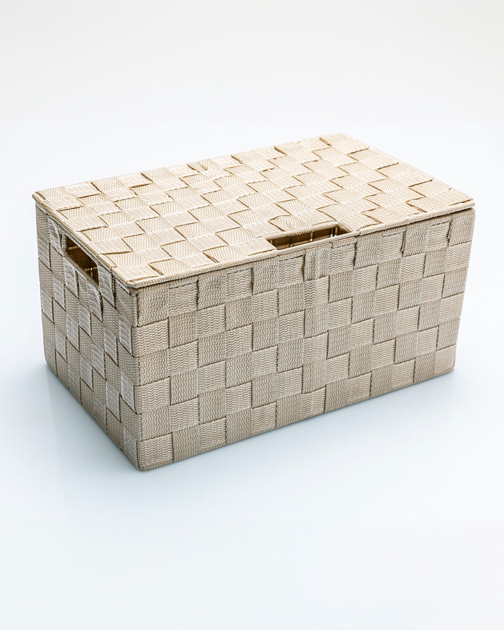 Shine Polypropylene with Cover Storage Box 34x22x17.5 cm Beige