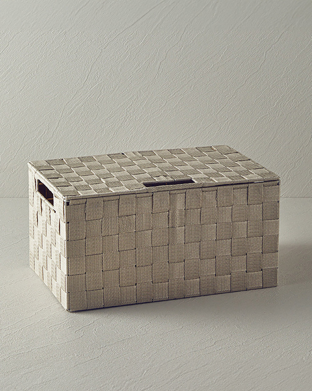 Shine Polypropylene Storage Box 34x22x17.5 cm Dark Beige (view 2)
