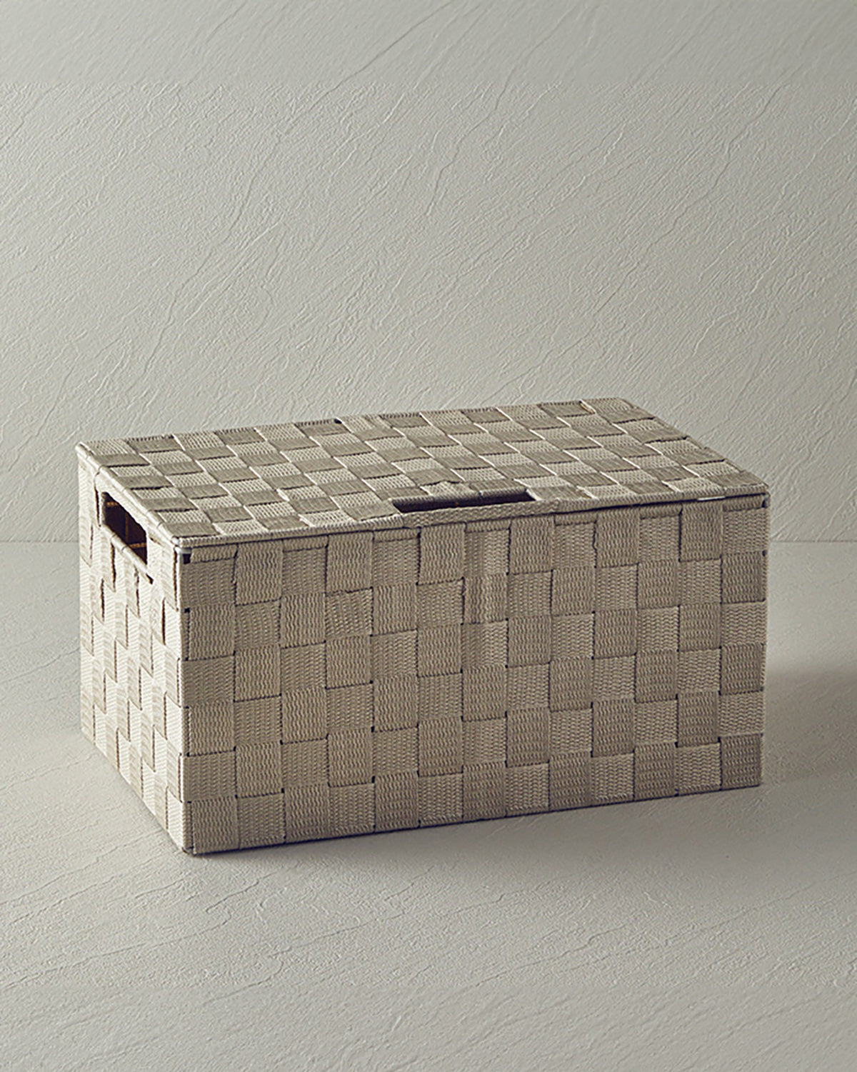 Shine Polypropylene Storage Box 34x22x17.5 cm Dark Beige (view 2)