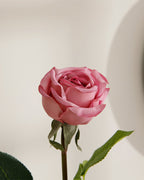 Corsage Fabric Single Branch Artificial Flower 44 cm Dark Pink (view 2)