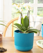 Bloom Plastic Flower Pot Blue - 16x16x15 cm