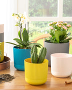 Bloom Plastic Flower Pot Blue (view 3)
