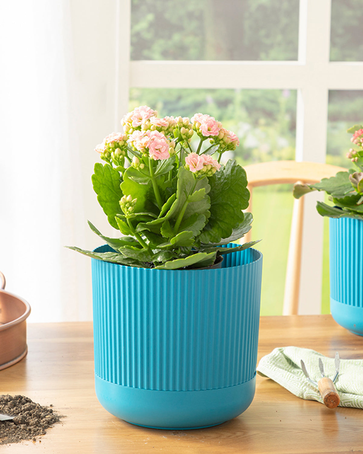 Bloom Plastic Flower Pot Blue (view 4)