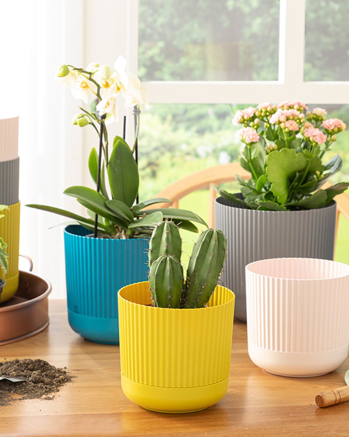 Bloom Plastic Flower Pot Blue (view 6)