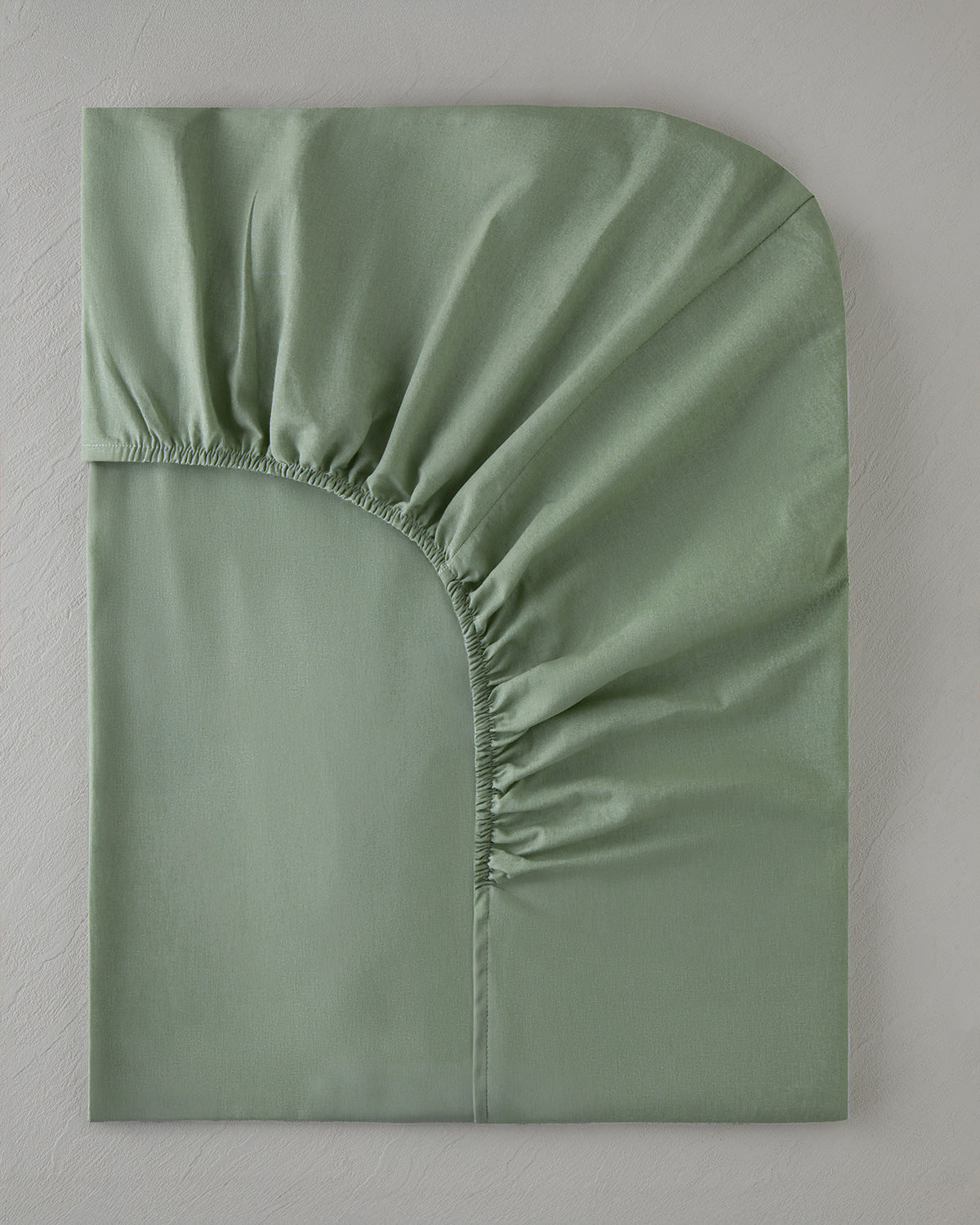 Plain Cotton Fitted Sheet Green Almond (view 12)