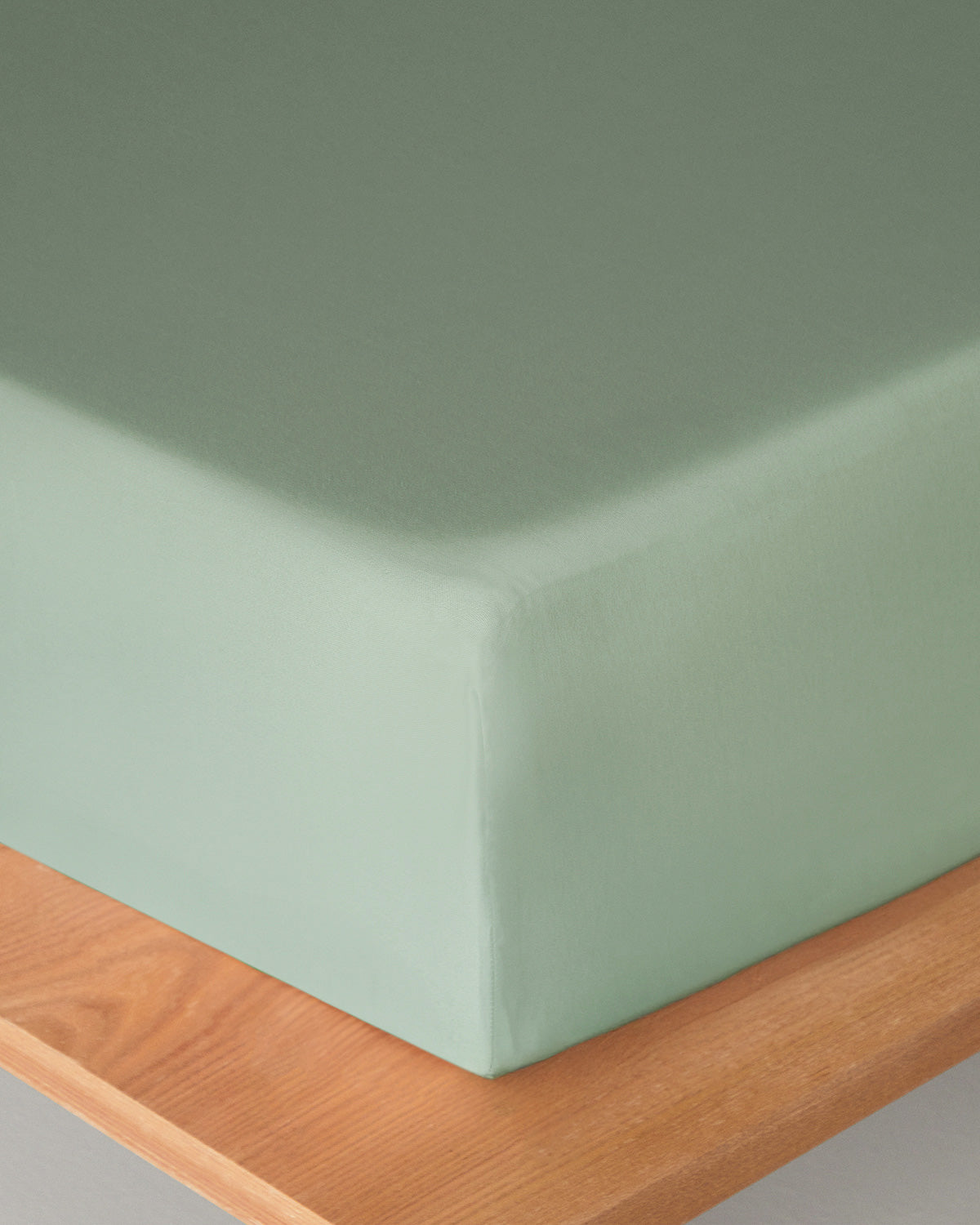 Plain Cotton Fitted Sheet Green Almond (view 14)
