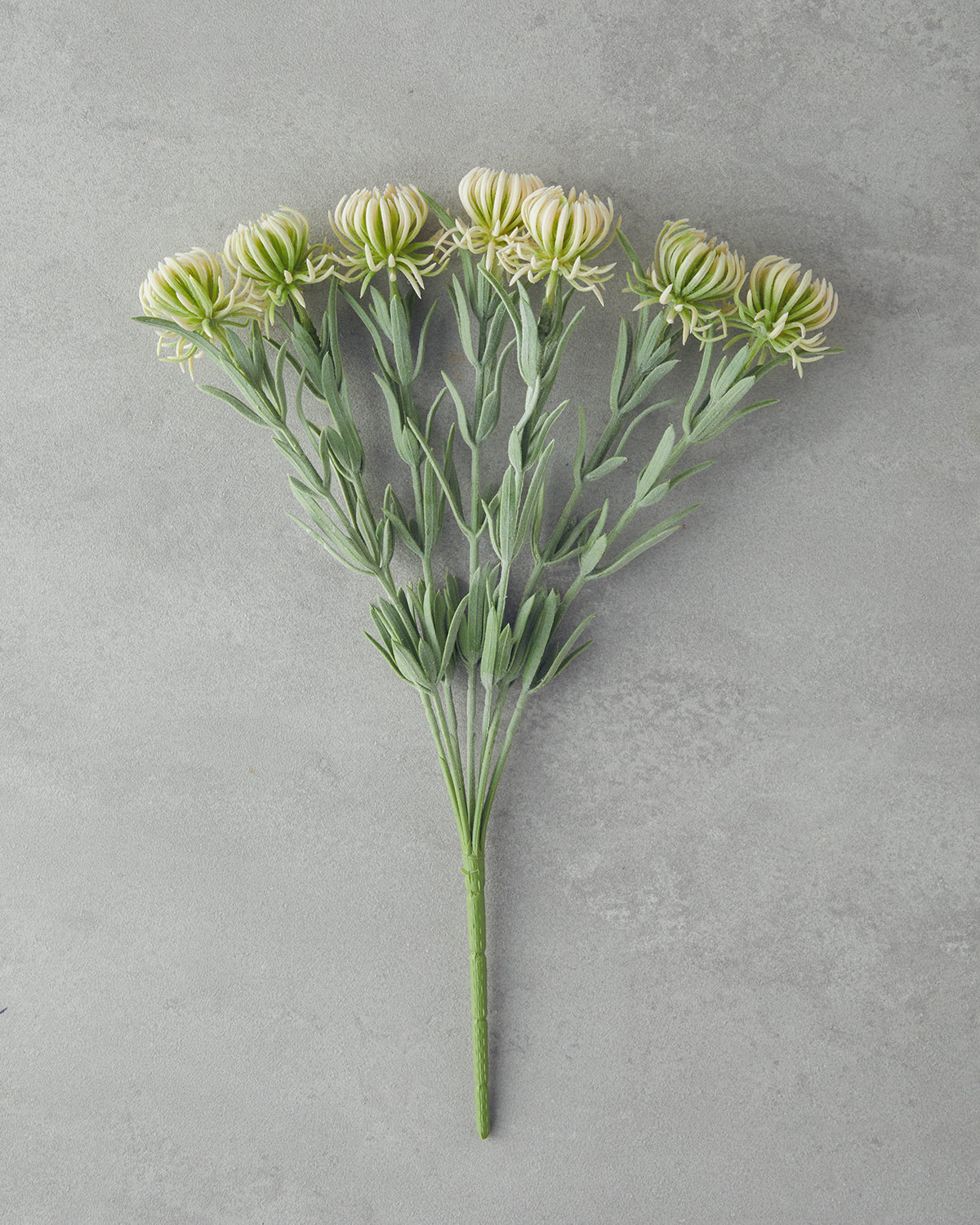 Daisy Dream Single Branch Artificial Flower 35 cm Champagne