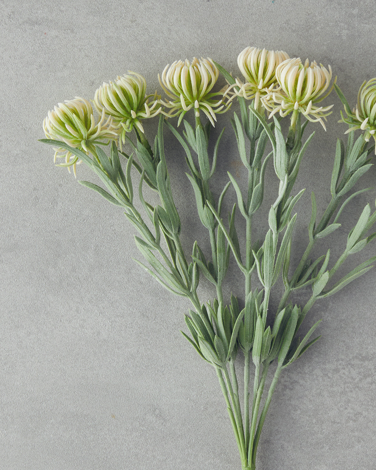 Daisy Dream Single Branch Artificial Flower 35 cm Champagne (view 2)