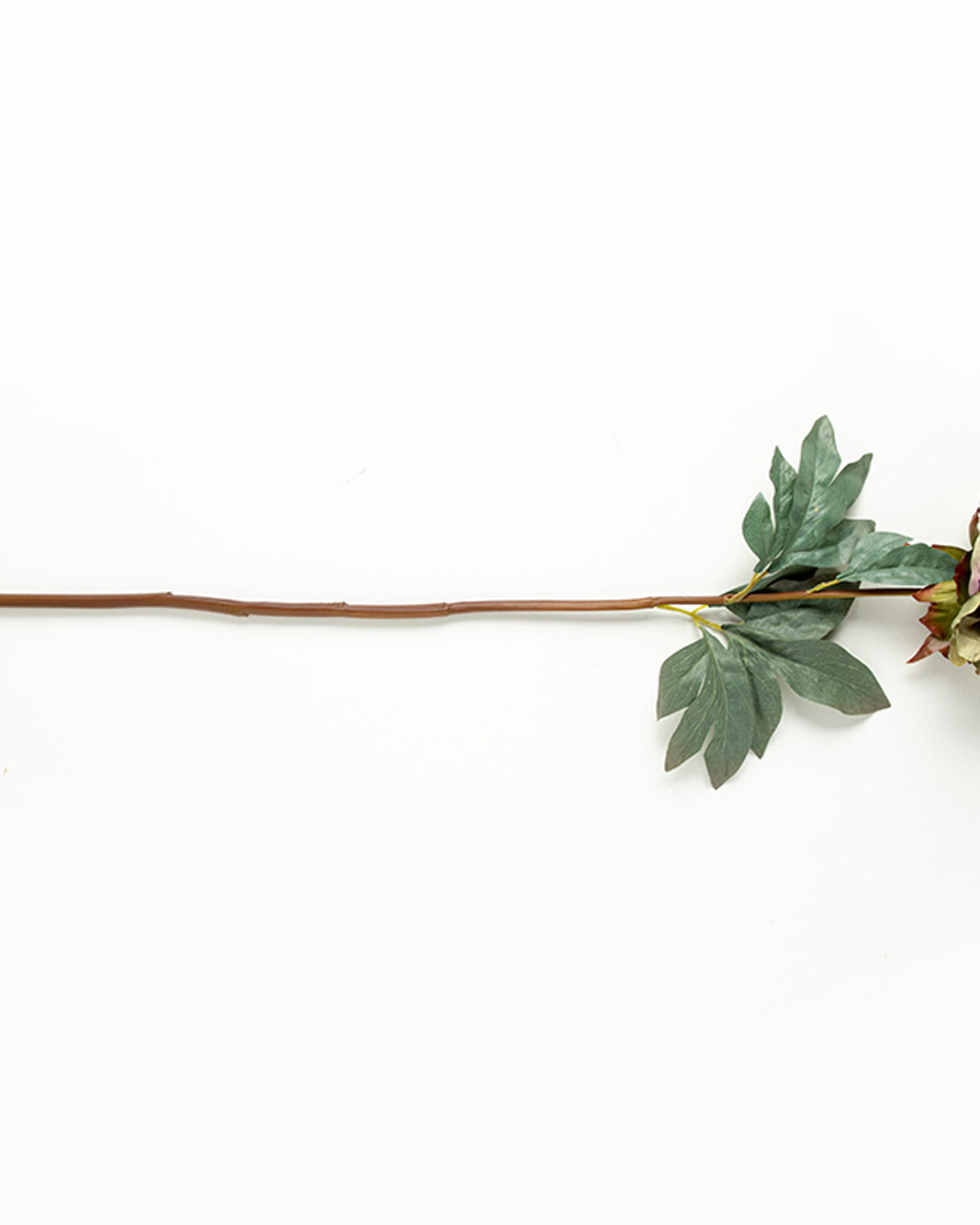 Peony Dream Single Branch Artificial Flower 75 cm Green (view 3)