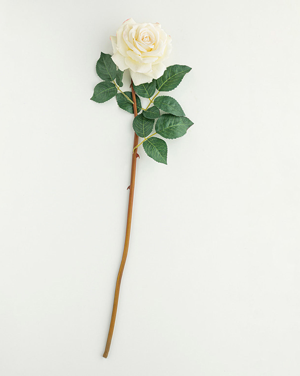 Classy Rose Plastic Single Branch Artificial Flower 64 cm (view 6)
