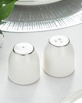 Torino Porcelain Salt and Pepper Shaker 5.5x5 cm Silver
