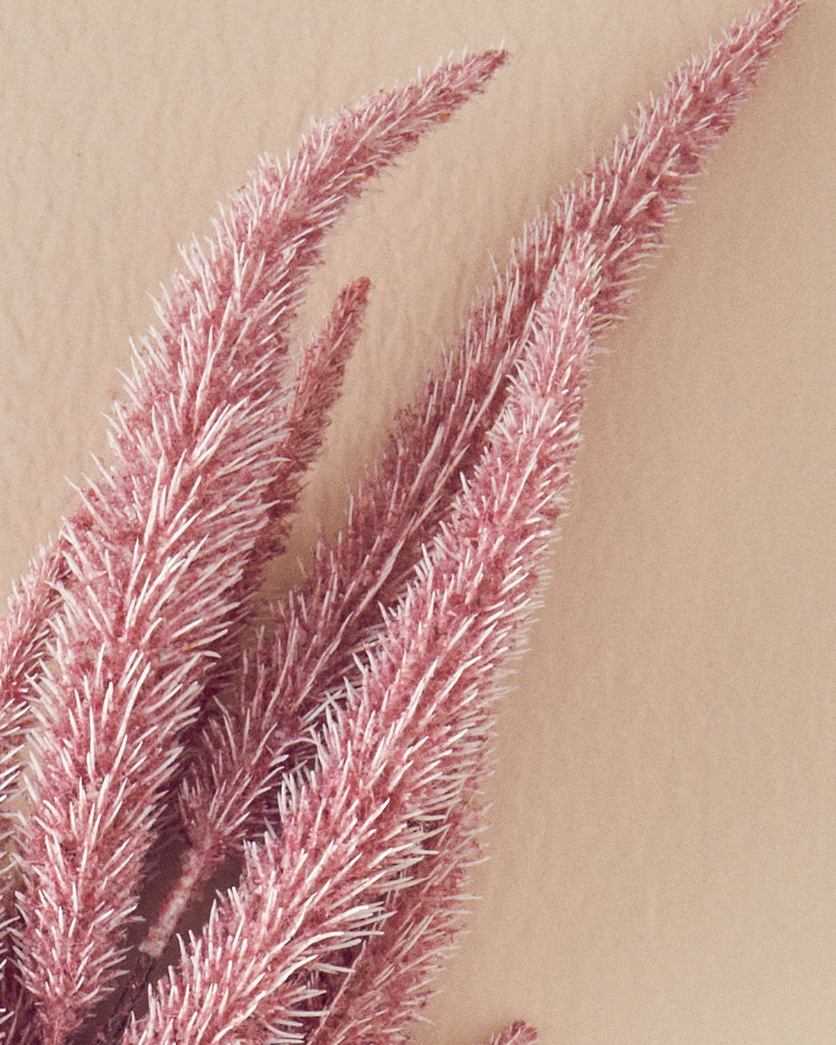 Reed Branch Plastic Single Branch Artificial Flower 87 cm Pink (view 2)