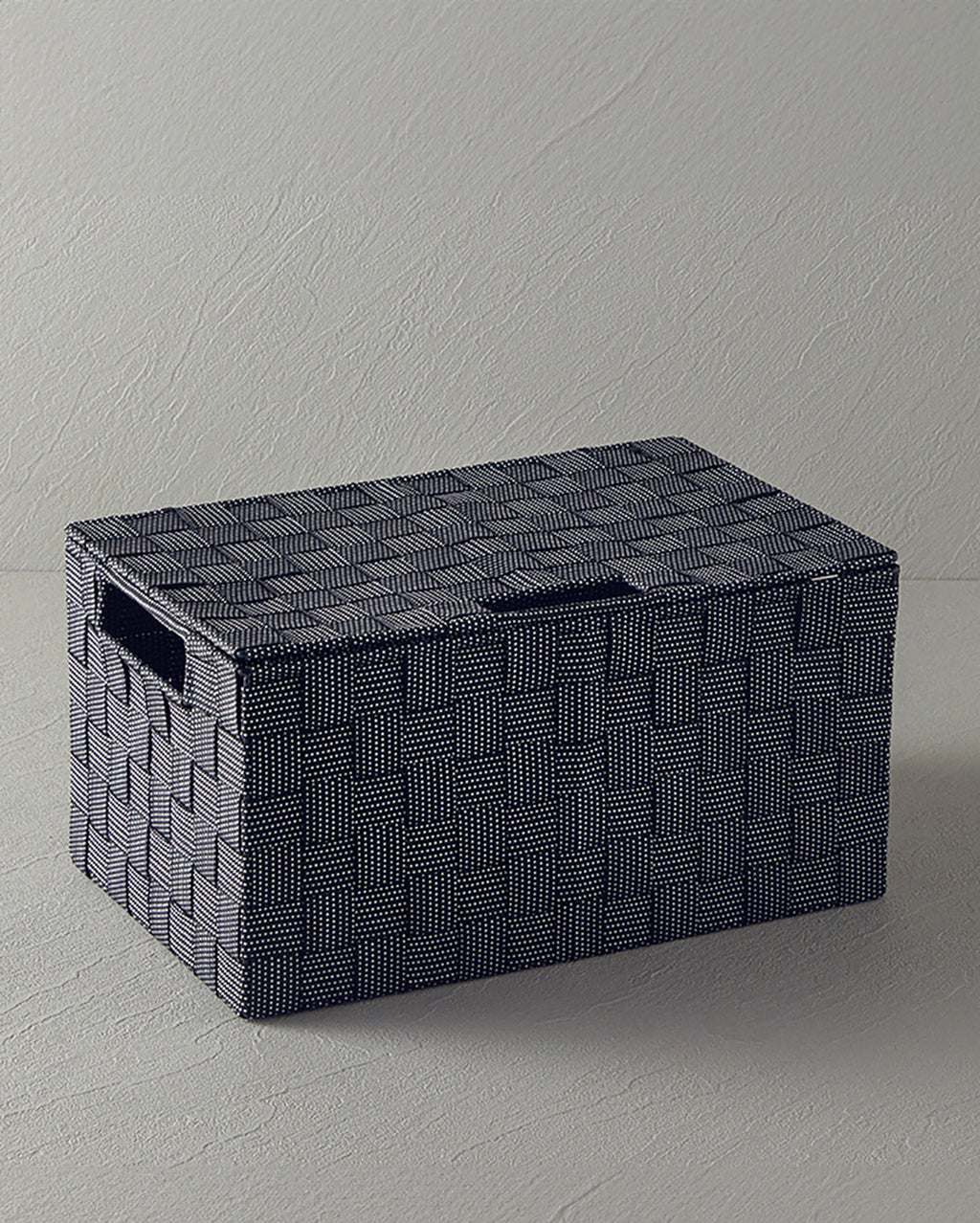 Shine Polypropylene with Cover Storage Box 34x22x17.5 cm Black (view 2)