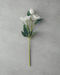 Helleborus Single Branch Artificial Flower 40 cm White