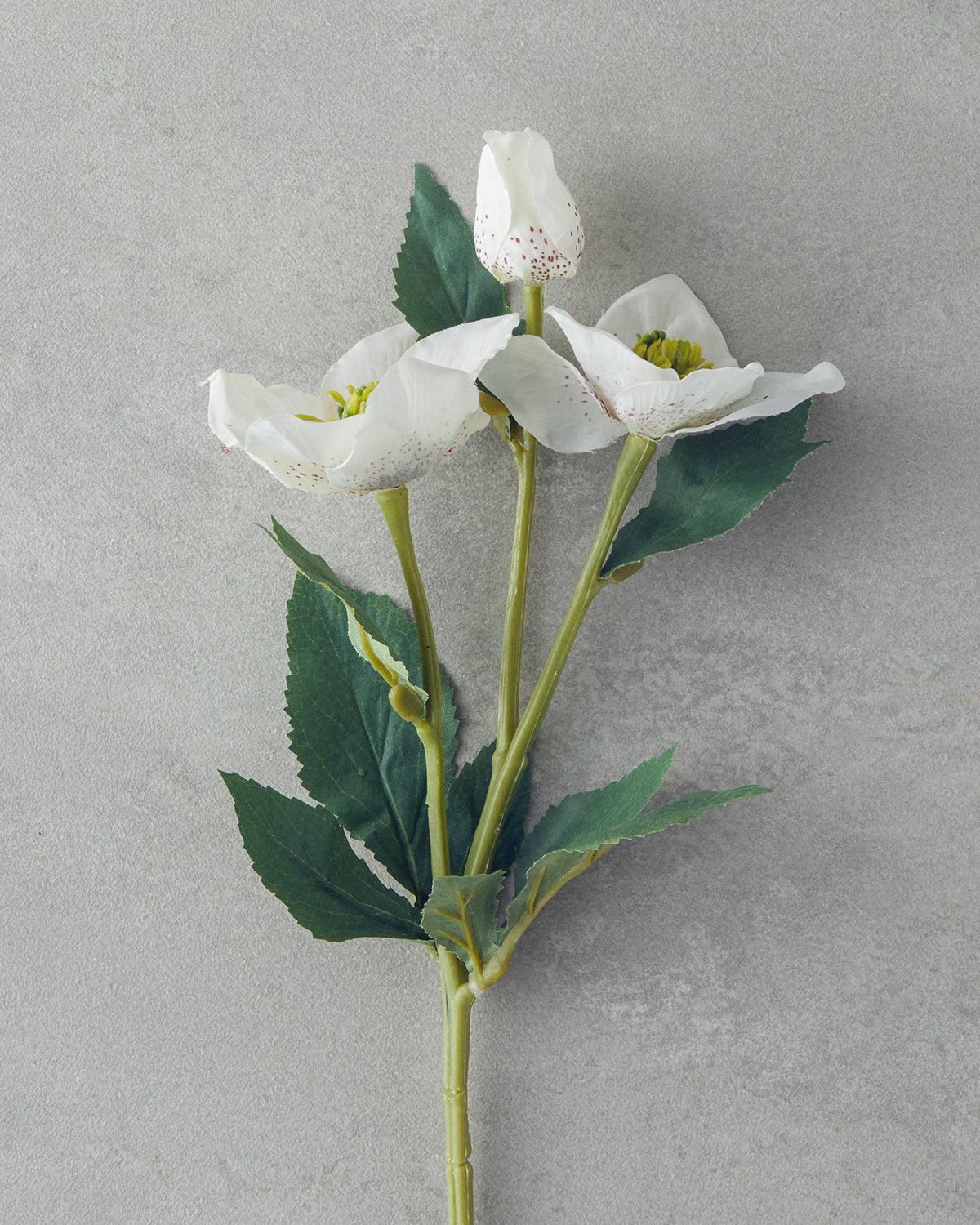 Helleborus Single Branch Artificial Flower 40 cm White (view 2)