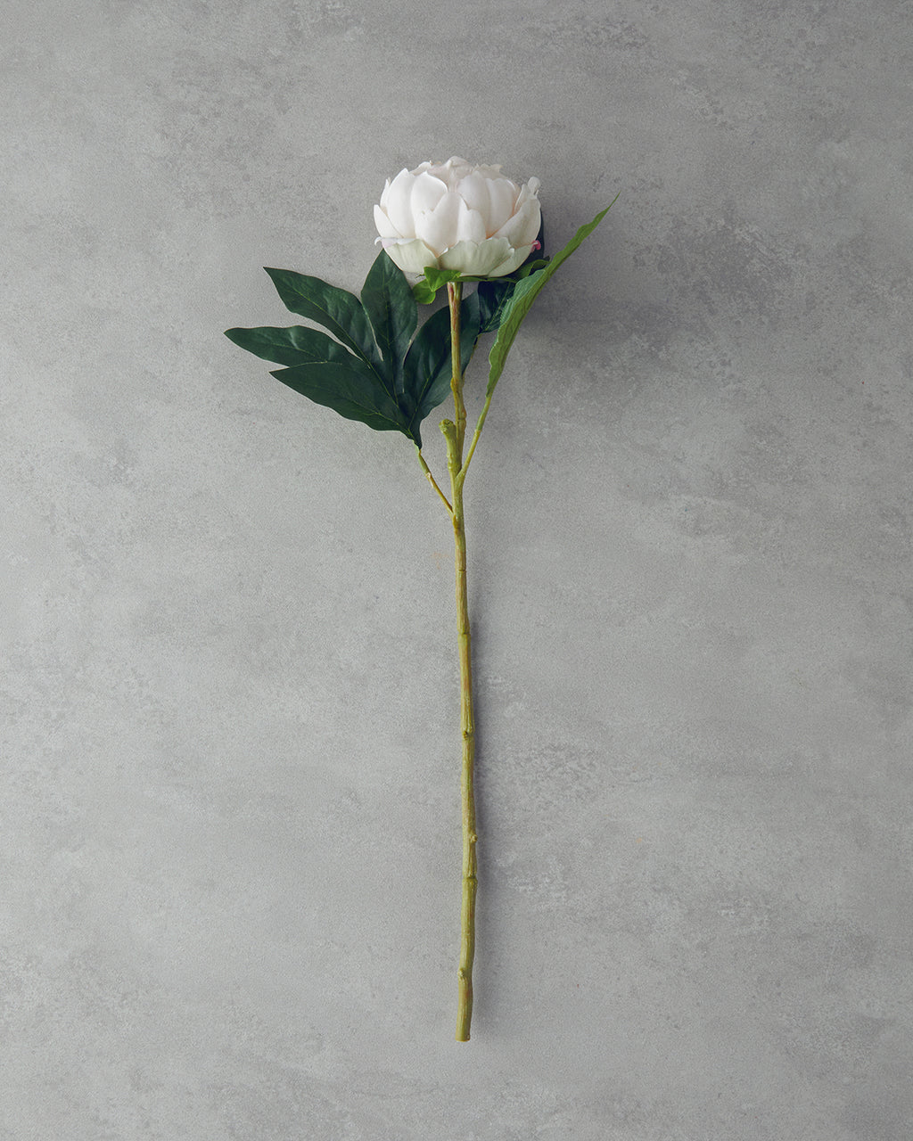 Peony Single Branch Artificial Flower 58 cm - Champagne
