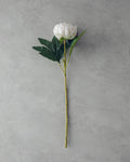 Peony Single Branch Artificial Flower 58 cm - Champagne