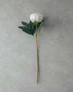 Peony Single Branch Artificial Flower 58 cm - Champagne
