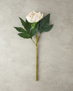 Peony Dream Single Branch Artificial Flower 58 cm - Champagne