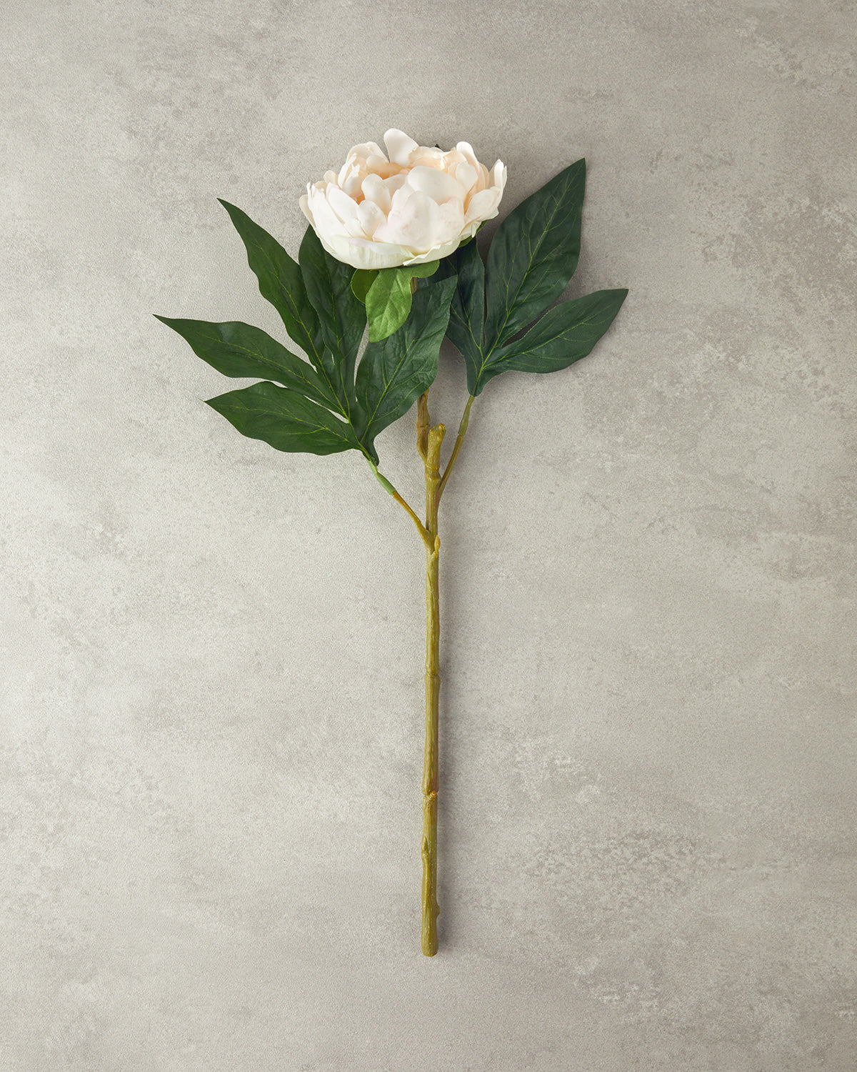 Peony Dream Single Branch Artificial Flower 58 cm - Champagne
