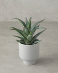 Aloevera Plastic Artificial Flower with Vase 21 cm Green