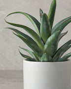 Aloevera Plastic Artificial Flower with Vase 21 cm Green (view 2)