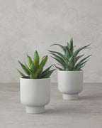 Aloevera Plastic Artificial Flower with Vase 21 cm Green (view 3)