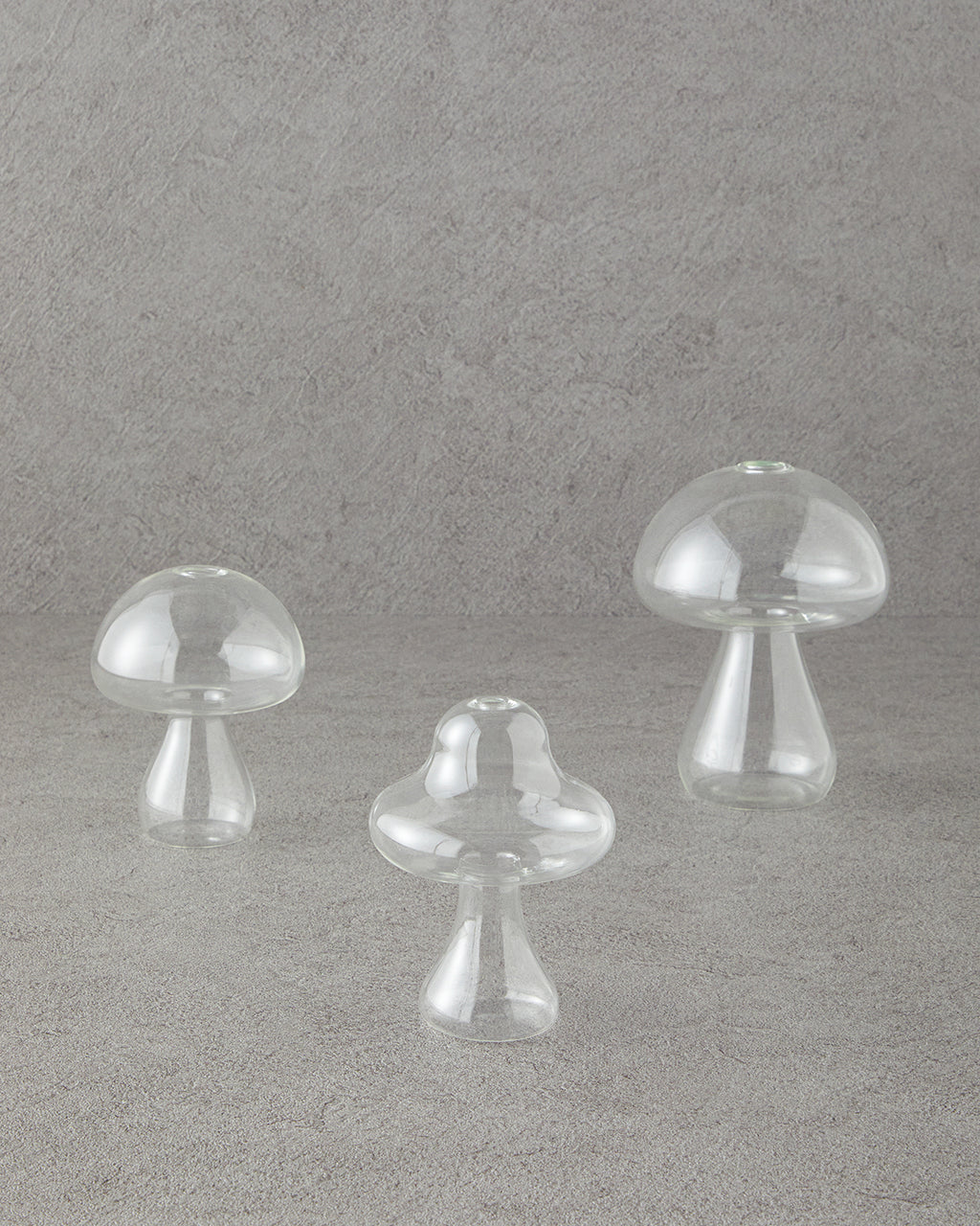 Mushroom Borosilicate Vase 16x12.5 cm Transparent (view 5)