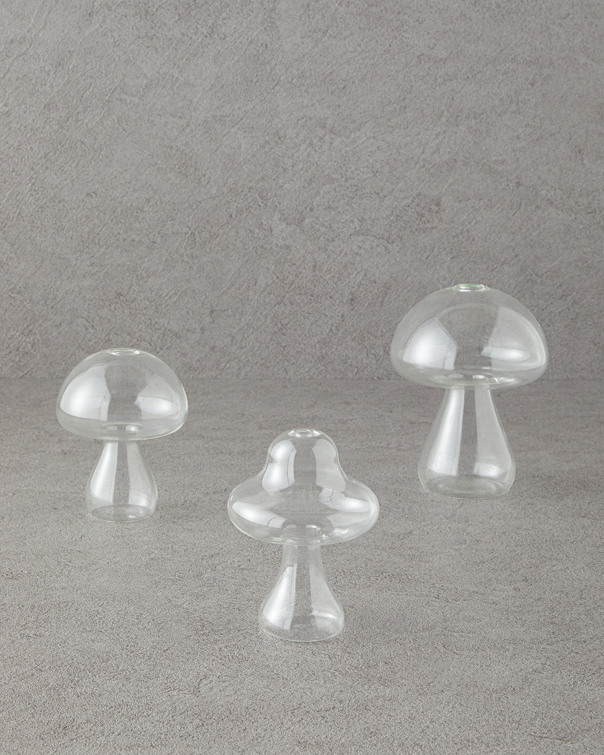 Mushroom Borosilicate Vase 16x12.5 cm Transparent (view 5)