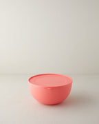 Blitz Plastic Storage Container 4 L (view 4)