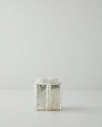 Cayman Hanging Decoration 8x8x10 cm Silver