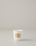 Goldy New Bone China Espresso Cup 90 ml - White-Gold