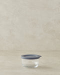 Fresh Safe Glass Spice Rack 380 ml Gray