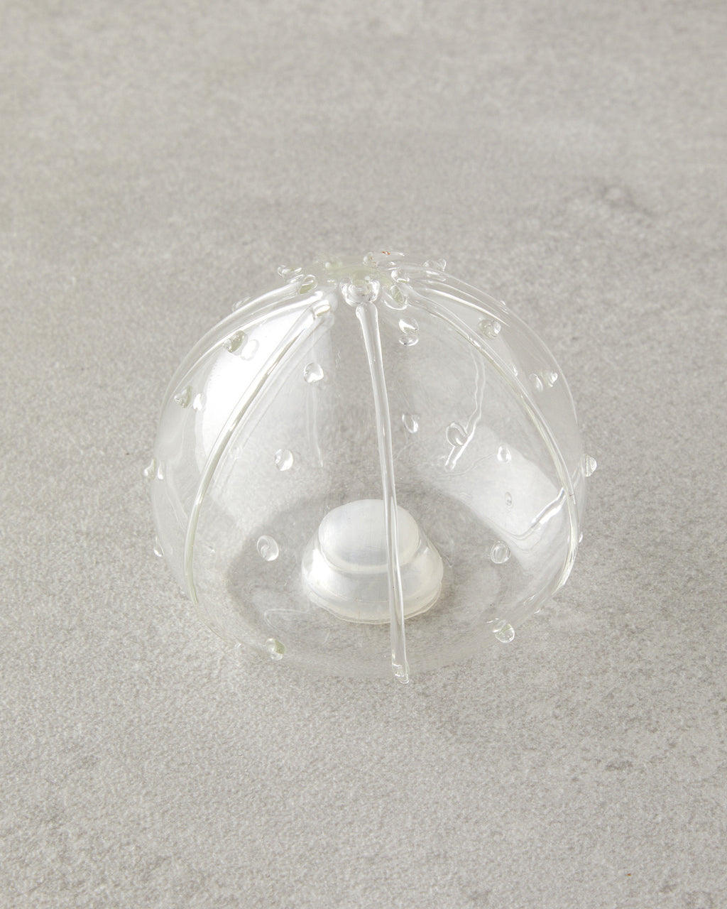 Clementine Borosilicate-Acacia 2 pcs Salt and Pepper Shaker 5.5x5 cm Transparent (view 3)