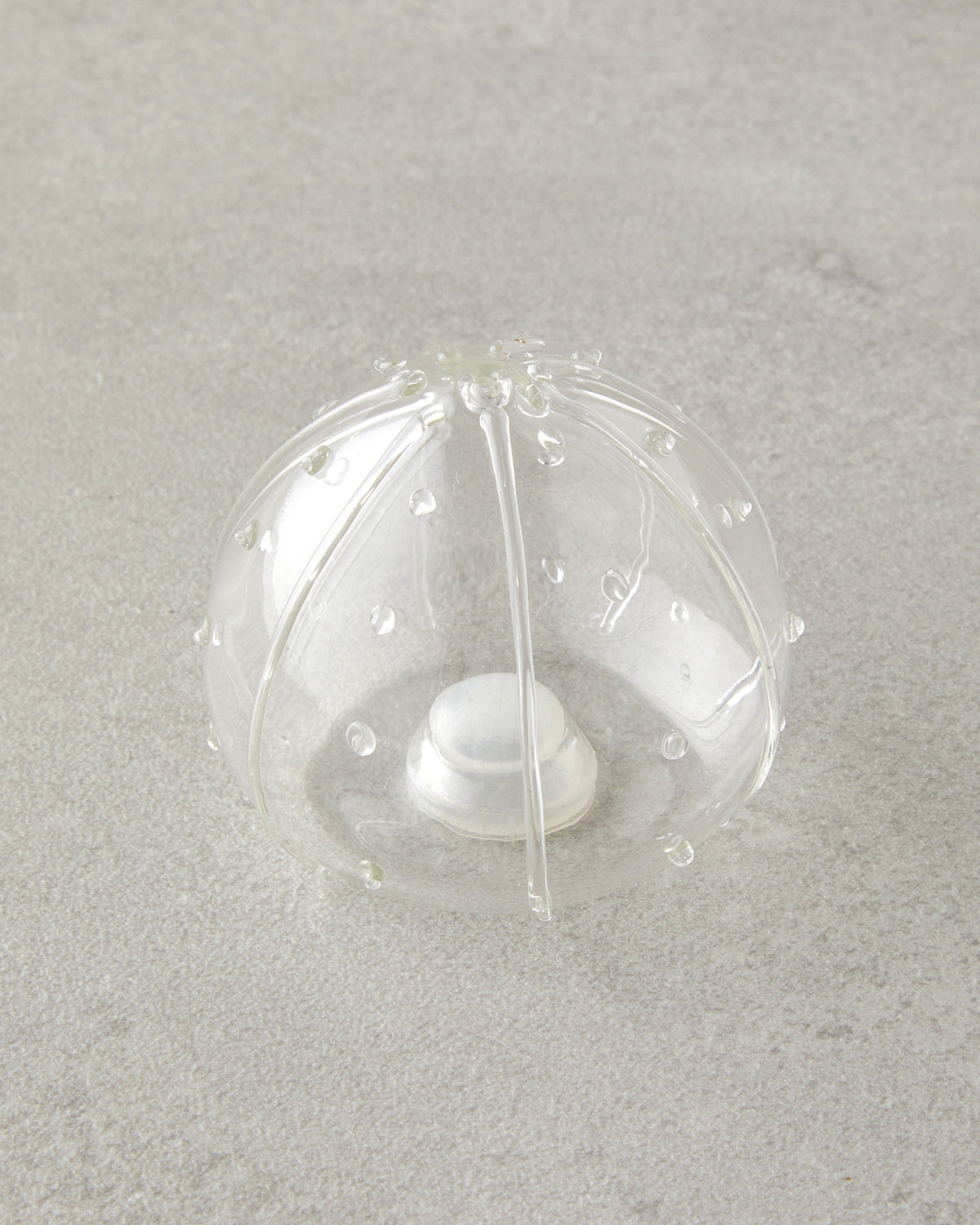 Clementine Borosilicate-Acacia 2 pcs Salt and Pepper Shaker 5.5x5 cm Transparent (view 3)
