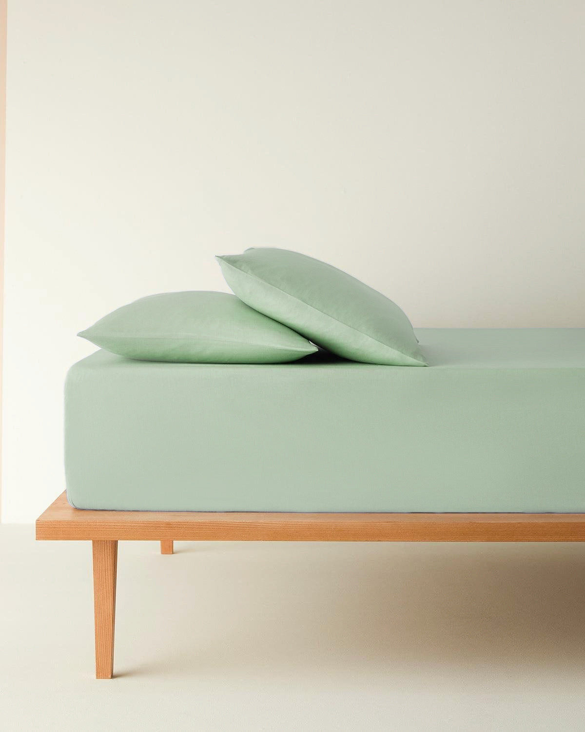 Plain Cotton Fitted Sheet Set Hydrangea - Green - Single 100x200 cm