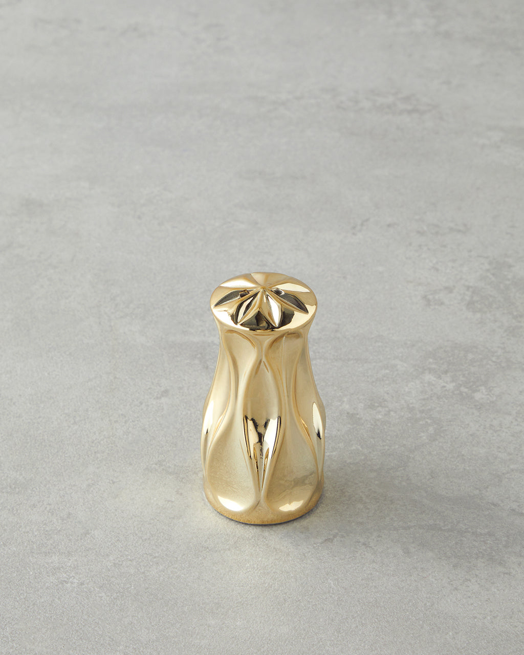 Baho Glass Salt and Pepper Shaker 4x4x8 cm Gold (view 2)