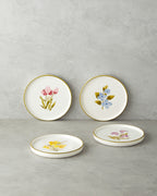 Begonya Ceramic 4 pcs Cake Set 16 cm Colored