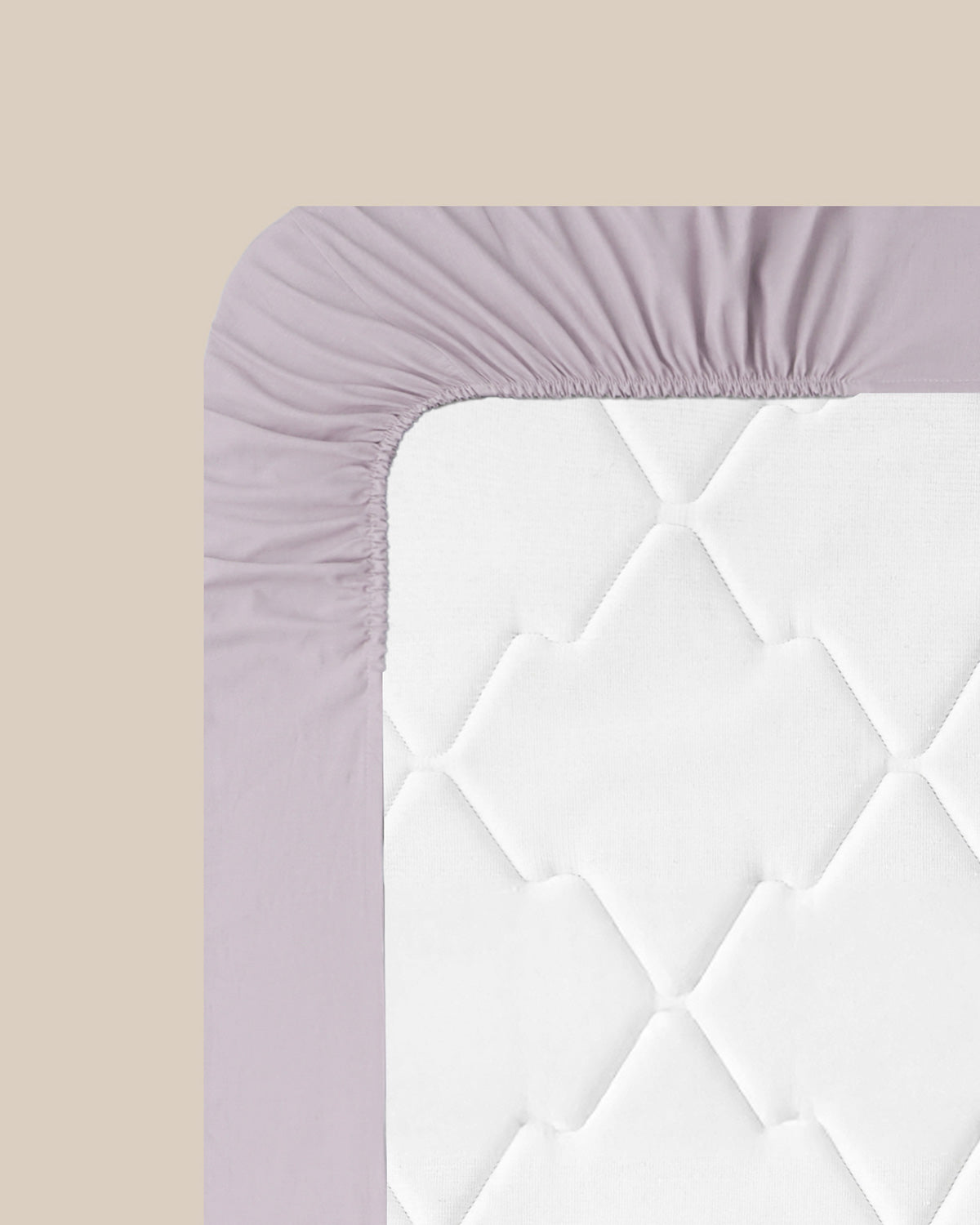 Novella Premium Soft Cotton Fitted Sheet - Purple, Cream & more - Light Blue - Single 100x200 cm (view 7)