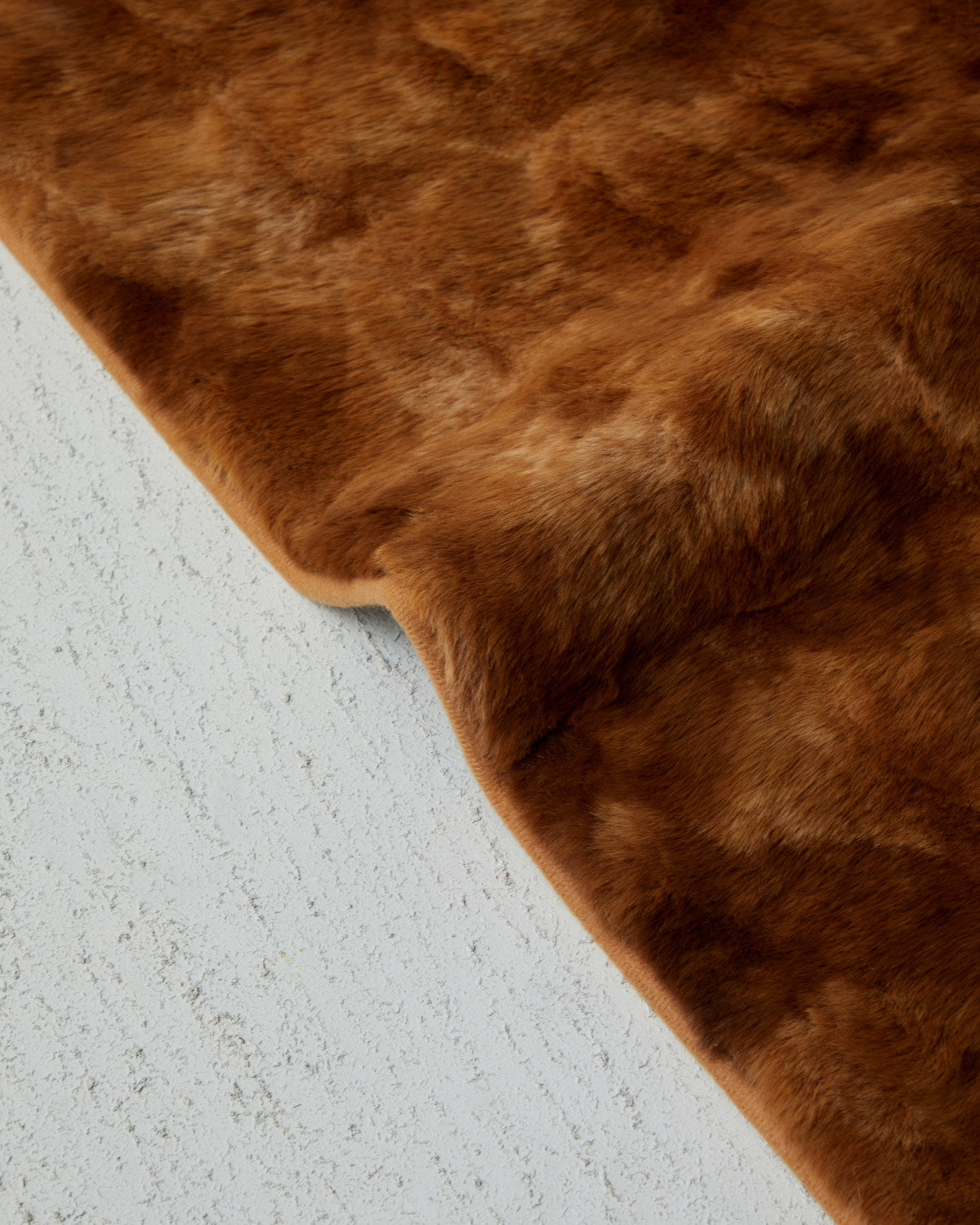 Terra Plush Carpet Brown (view 5)