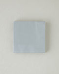 Plain Elegance Paper 20 pcs Napkin 33x33 cm - Silver