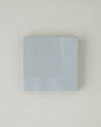 Plain Elegance Paper 20 pcs Napkin 33x33 cm - Silver