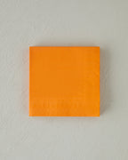 Plain Elegance Paper 20 pcs Napkin 33x33 cm (view 10)