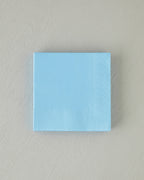 Plain Elegance Paper 20 pcs Napkin 33x33 cm (view 13)
