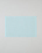Plaina PVC 4 pcs Table Mat 30x45 cm Light Mint (view 2)