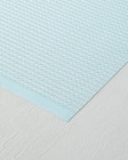 Plaina PVC 4 pcs Table Mat 30x45 cm Light Mint (view 3)