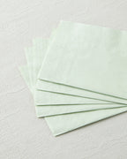 Plaine Paper 20 pcs Napkin 24x24 cm (view 5)