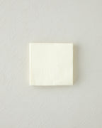 Plaine Paper 20 pcs Napkin 24x24 cm (view 10)