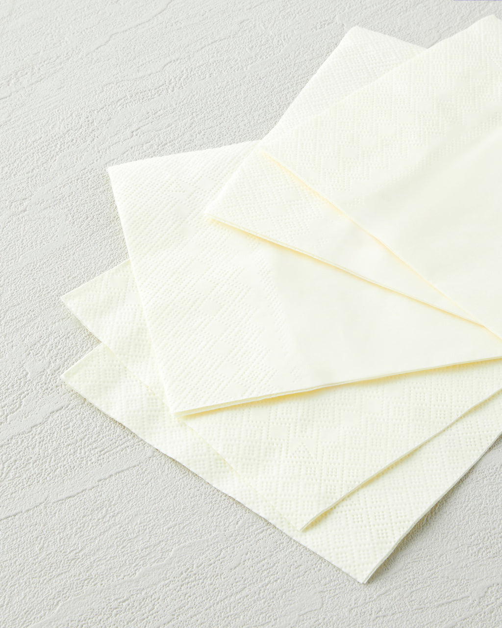 Plaine Paper 20 pcs Napkin 24x24 cm (view 11)
